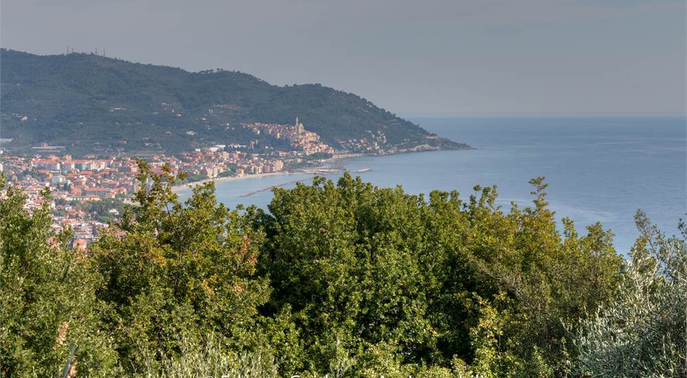 vista
